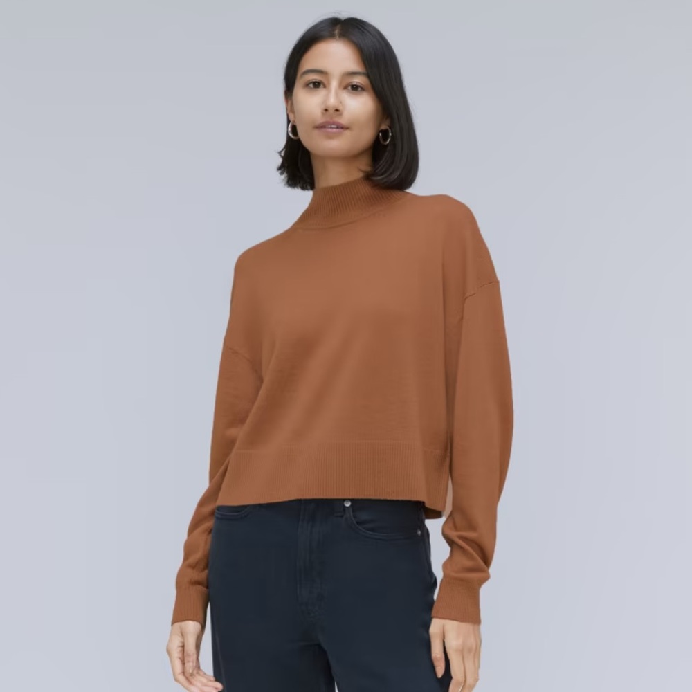 NWT Everlane The Luxe Merino Turtleneck L - Tawny Brown